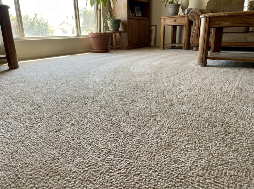 Lifted, fresh, dry within hours