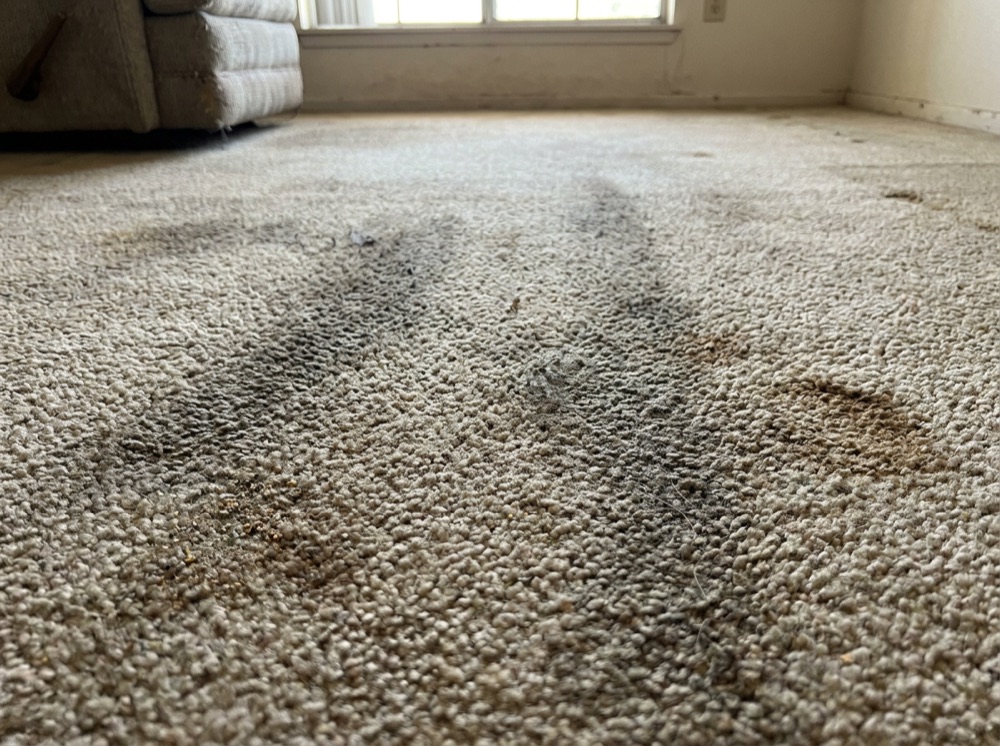 Traffic lanes, pet stains, dull fibers
